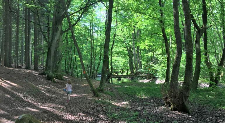 Gaesthus I Naturskoent Laege Genarp Dış mekan fotoğraf