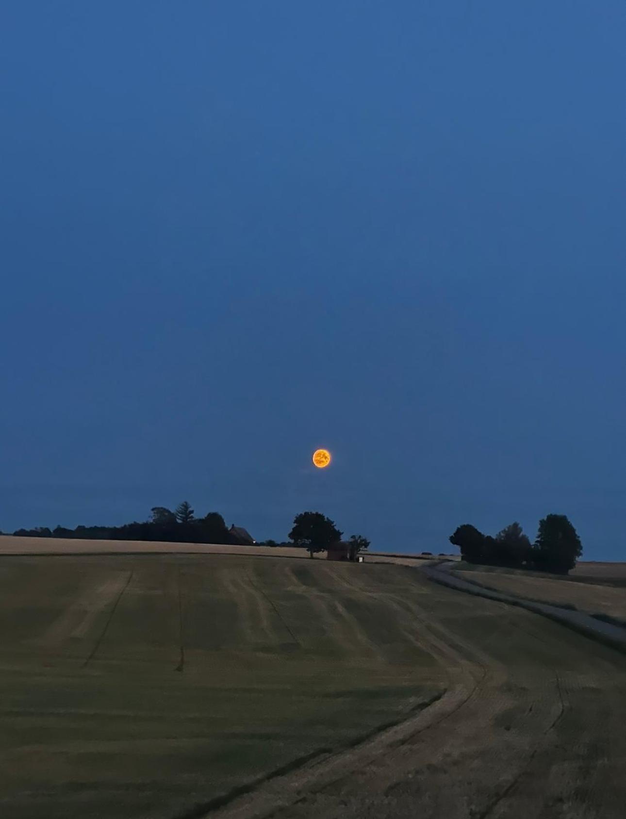 Gaesthus I Naturskoent Laege Genarp Dış mekan fotoğraf